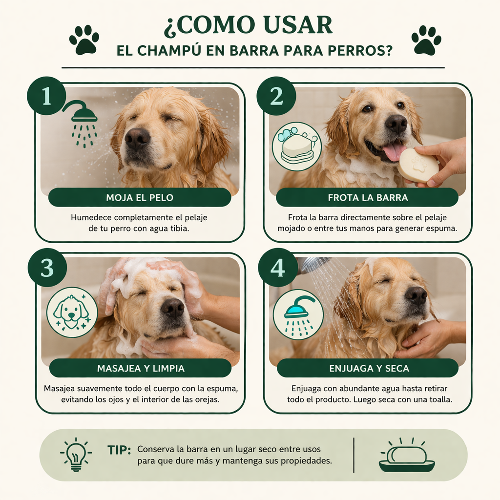 SHAMPOO EN BARRA | Perro
